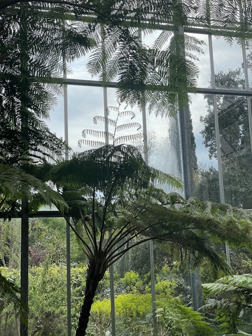 A lush indoor garden designed with meticulous care, integrating green plants that bring calm and elegance to a workspace.