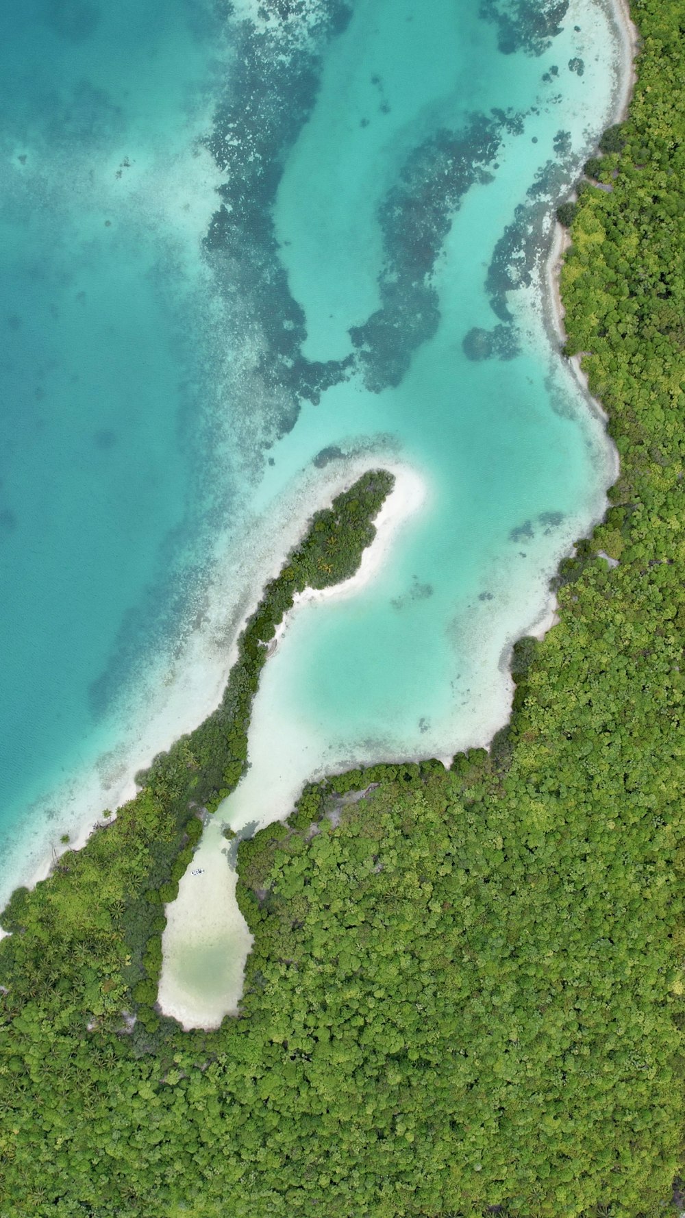 an aerial view of a body of water surrounded by trees