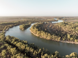 A sunlit river winding through dense Putnam County forest.