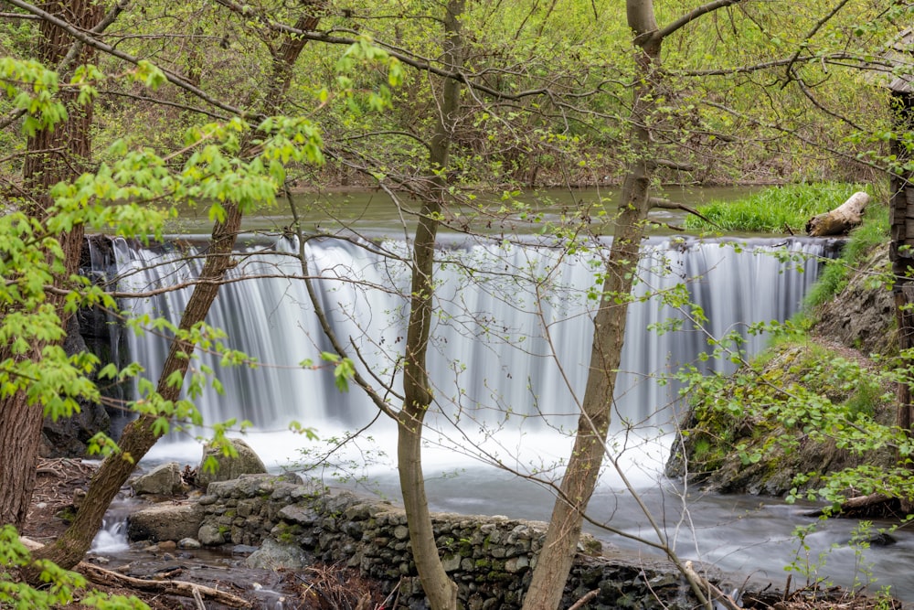 a small waterfall in the middle of a forest