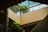 An interior space featuring wooden architectural elements with slatted walls and railings. Green foliage adds a natural touch, with large plants appearing on both levels. Natural light filters through a skylight above, creating a serene atmosphere.