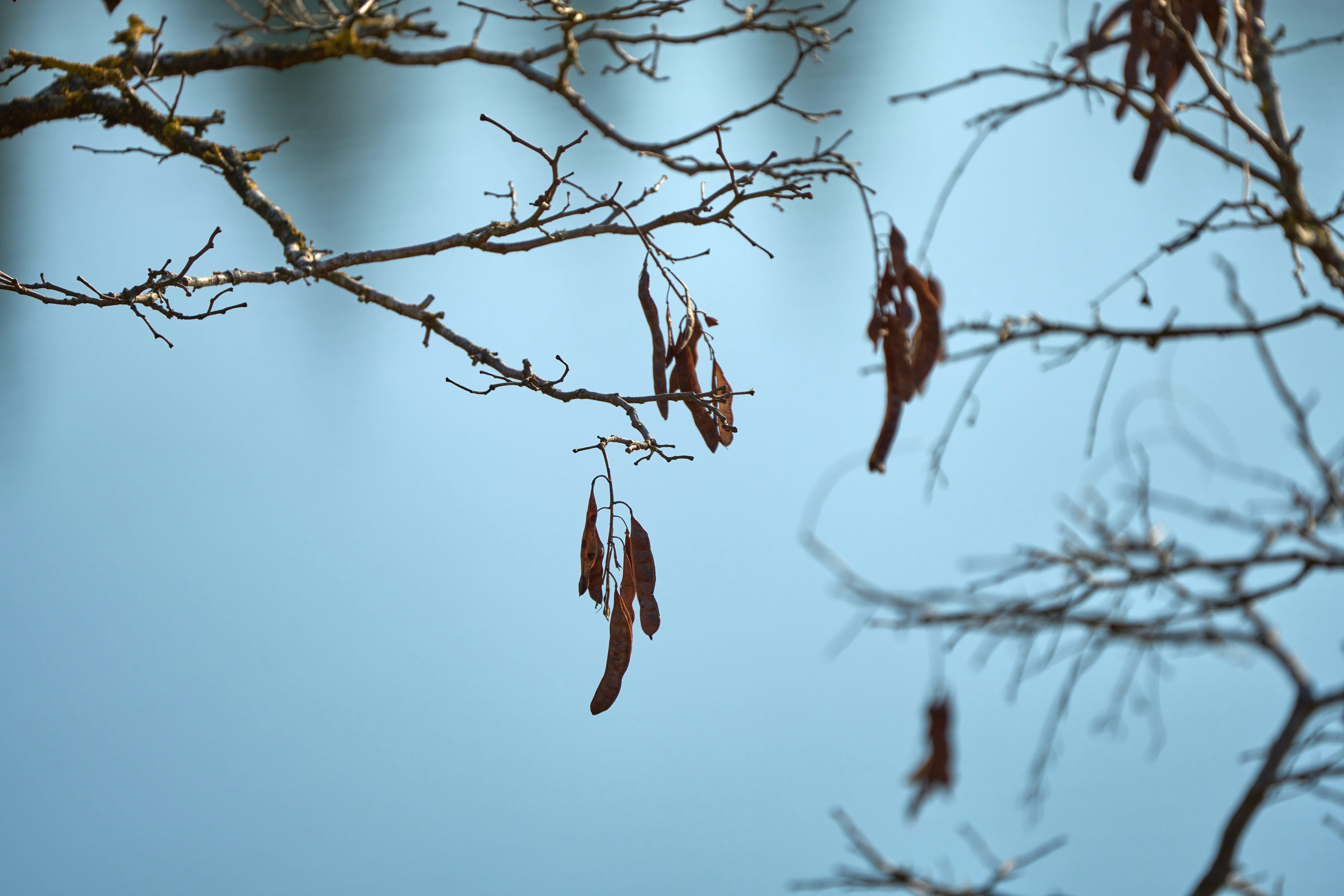 Photo by wolfgang_hasselmann