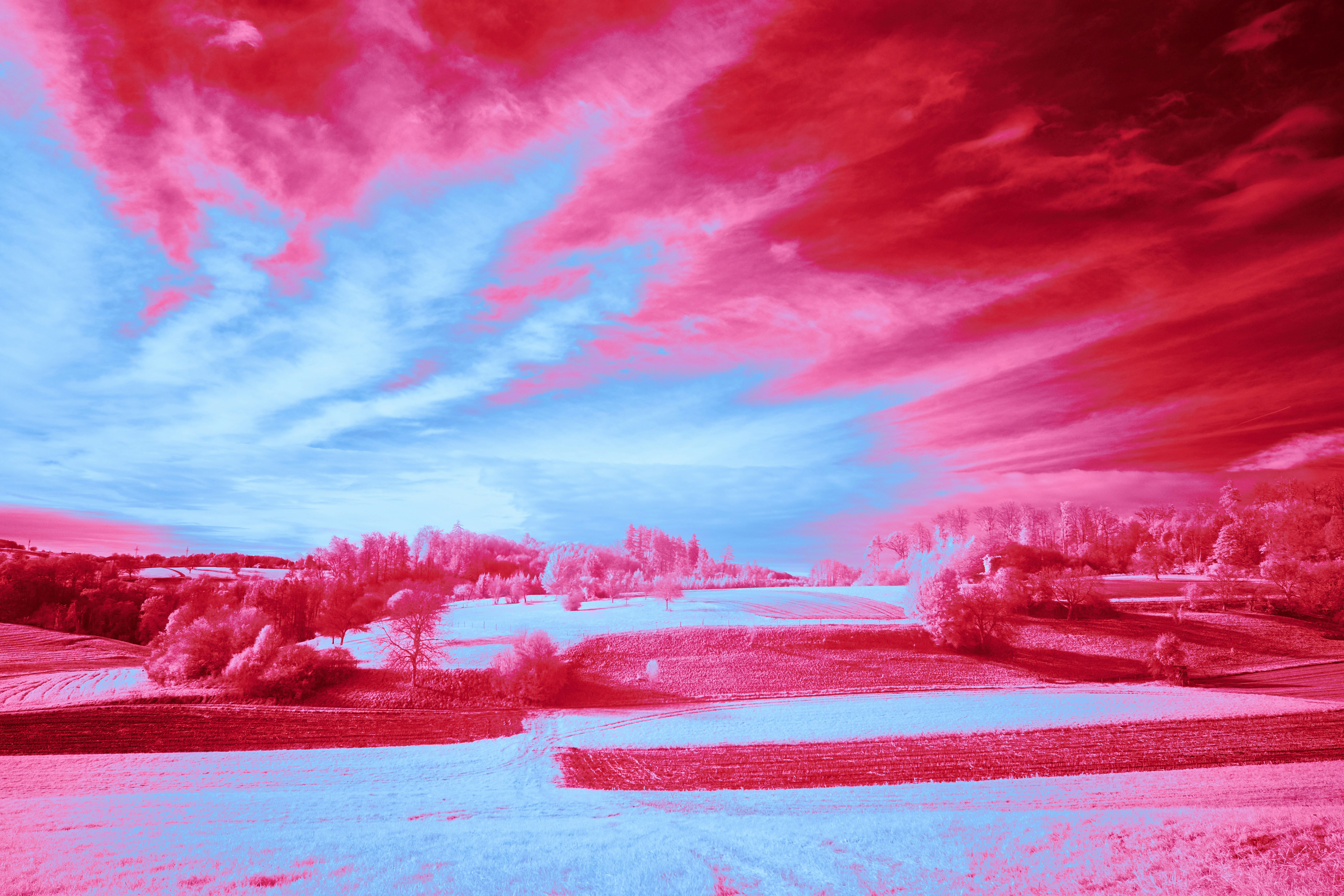 Photo by wolfgang_hasselmann