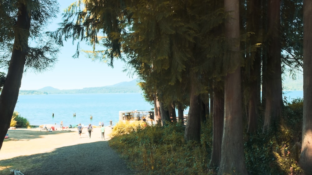 a group of people walking down a path next to a lake