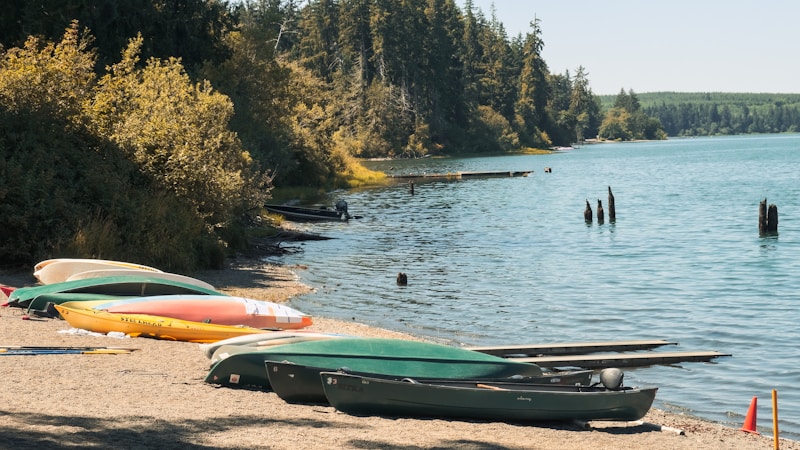 Several colorful canoes and kayaks are laid out on a pebbled beach next to a calm lake. The lake is surrounded by dense forest with tall trees, and a few wooden posts are visible in the water. The scene is tranquil with a clear sky and distant greenery on the opposite side of the lake.