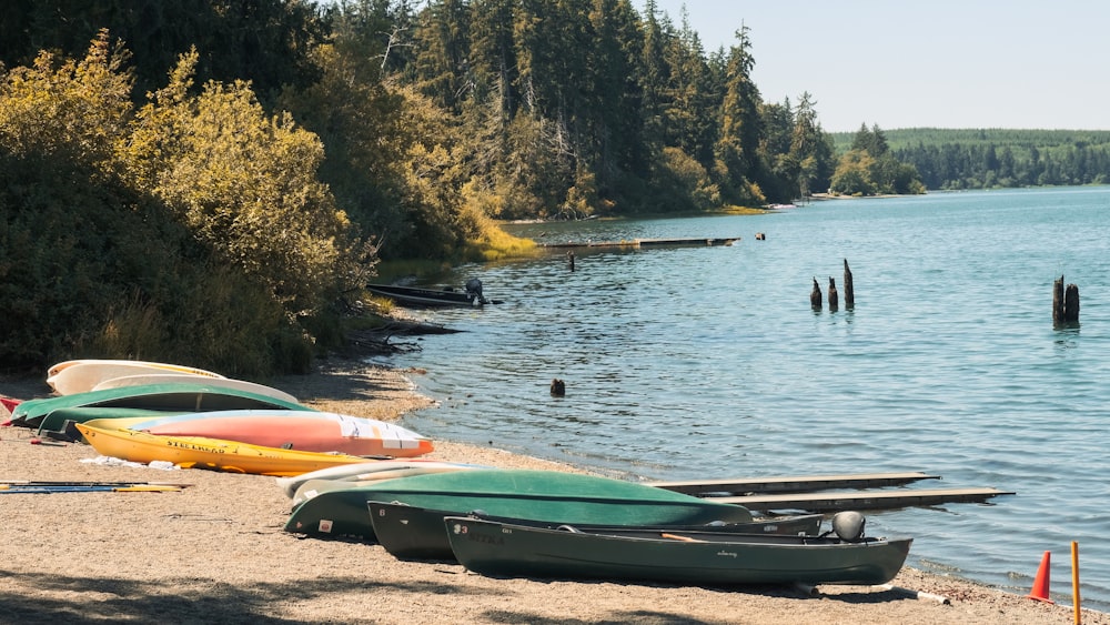 canoes are lined up on the shore of a lake