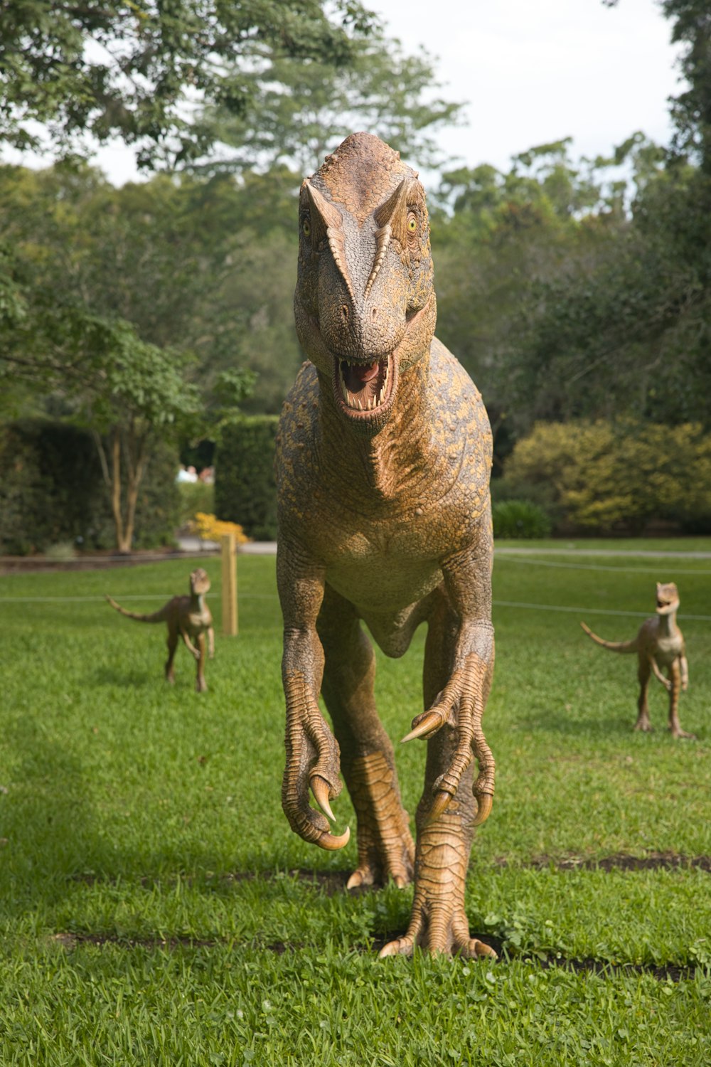 Un primer plano de un dinosaurio en un campo de hierba