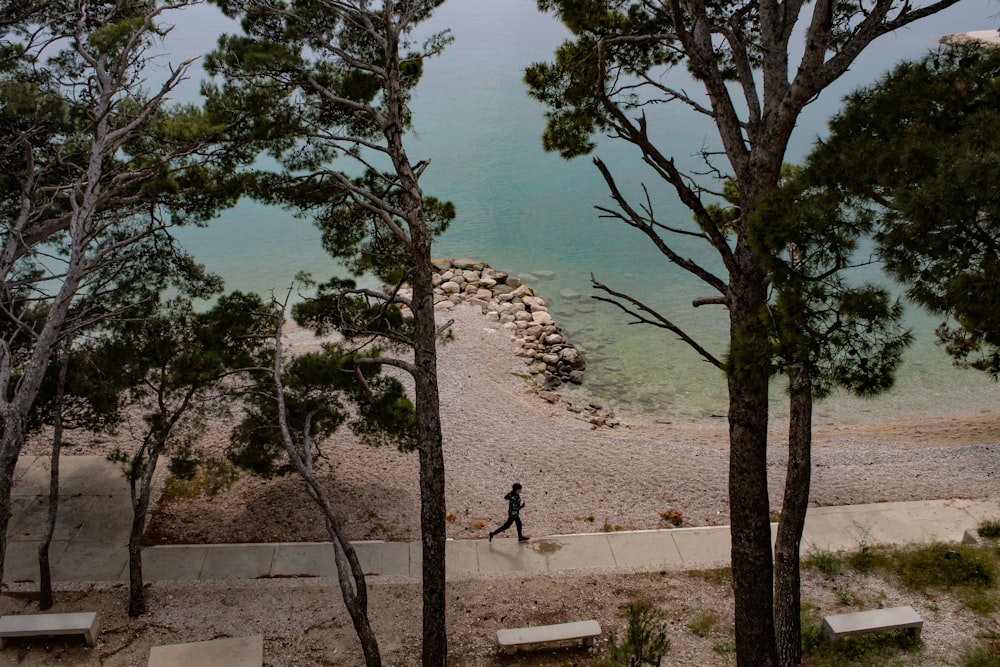 a person walking down a path next to a body of water