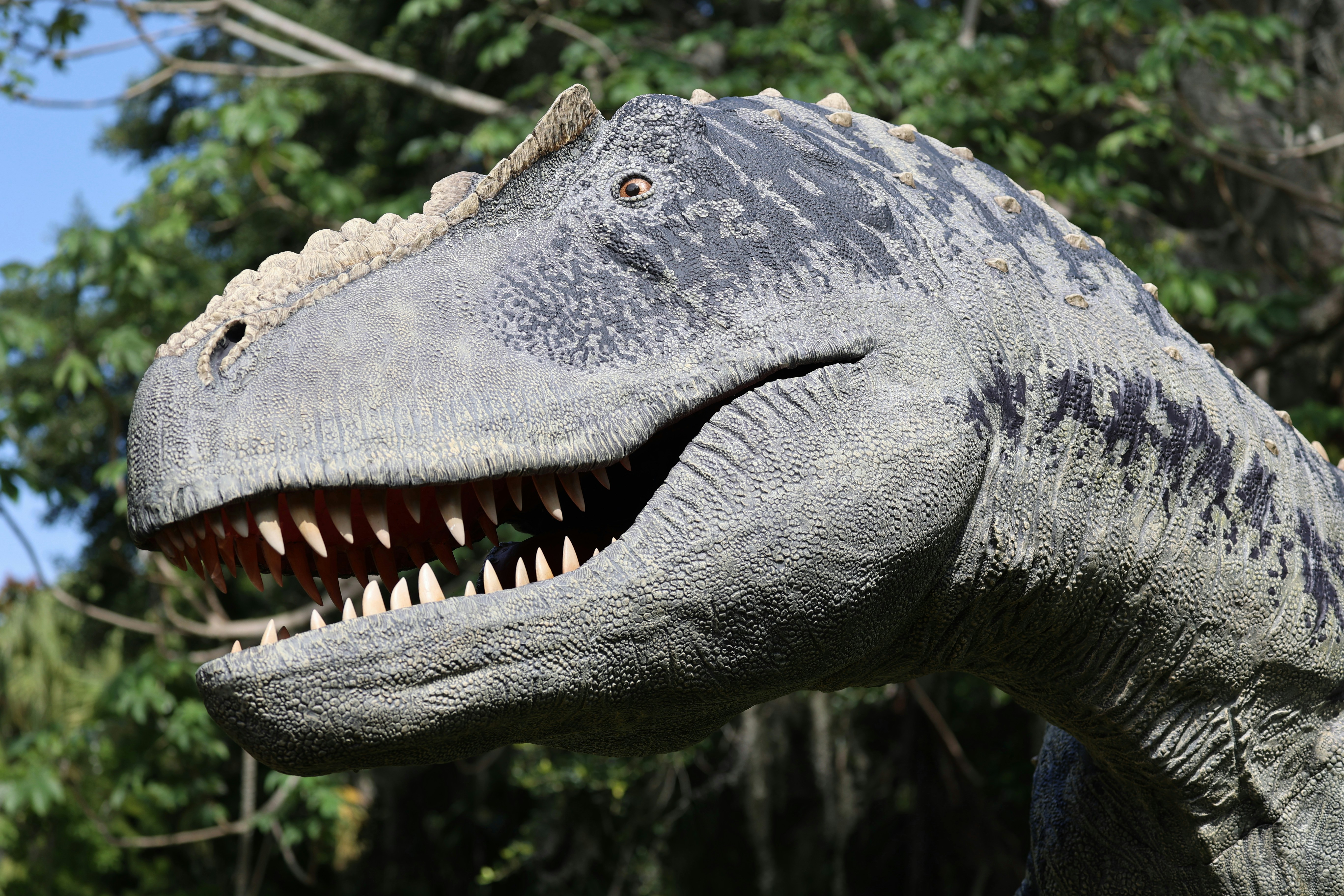 Photo by thephotochad