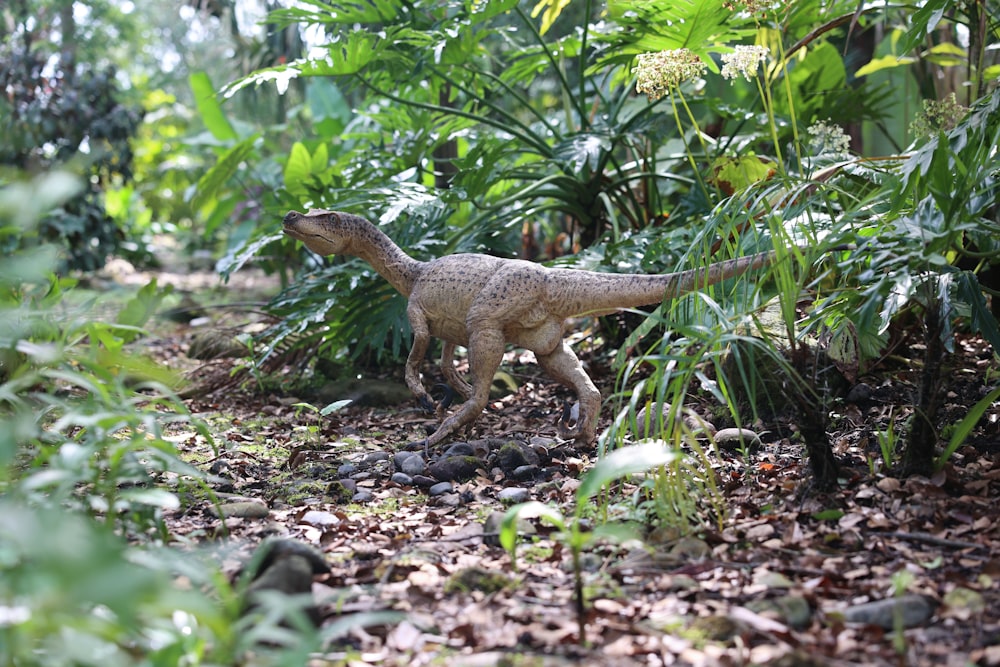 a small dinosaur in the middle of a jungle