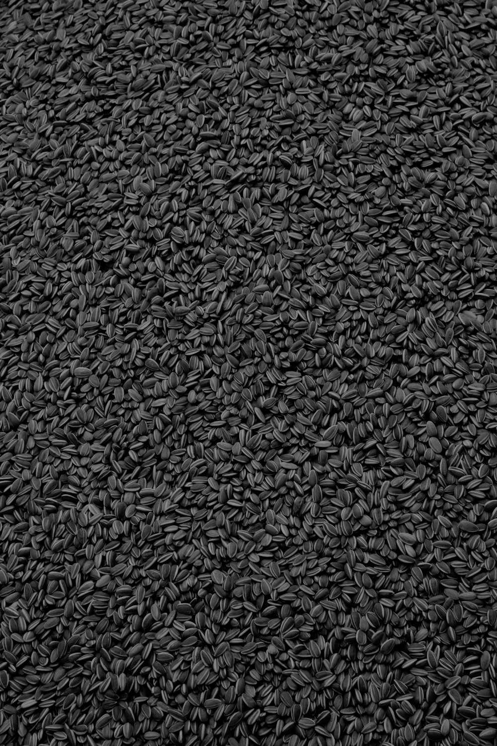 a pile of black seeds is shown in this image