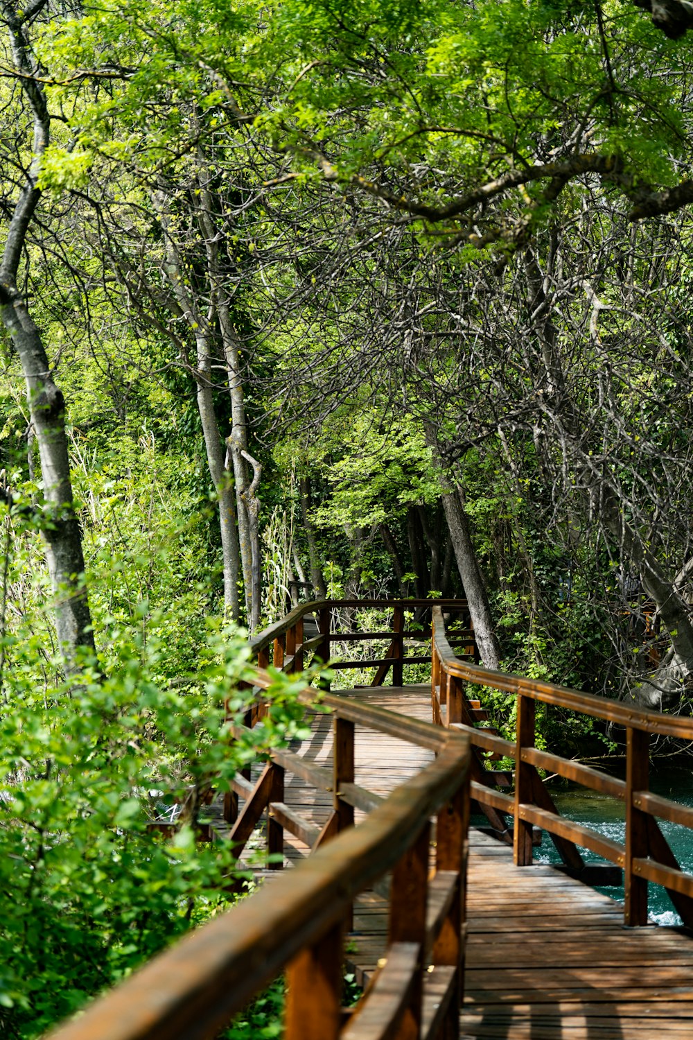 a wooden bridge over a river surrounded by trees