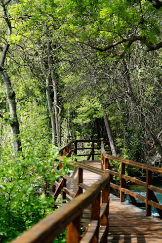Close-up of a wooden pathway winding through a lush forested area in a new development.