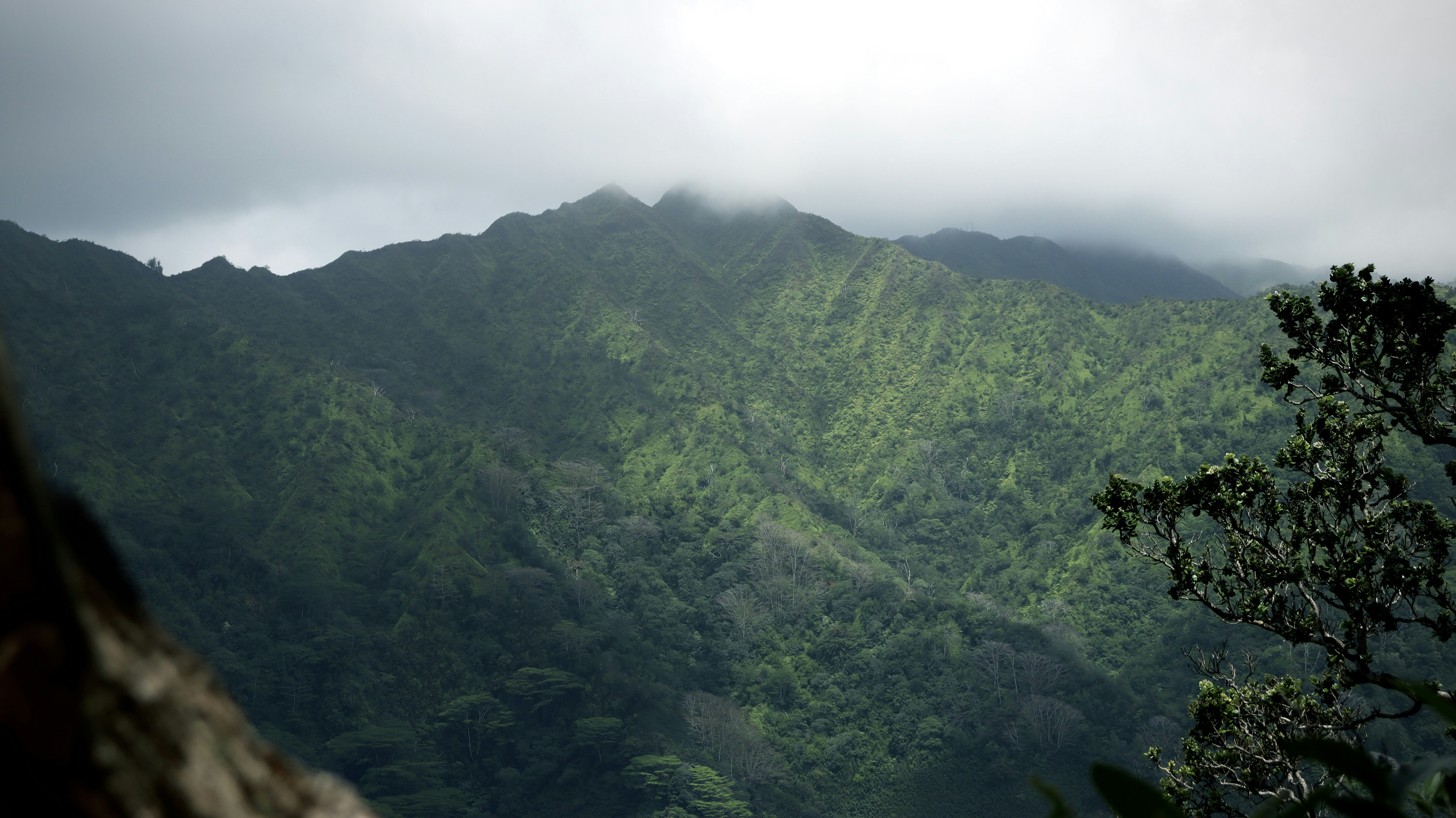 Photo by josh3rsmith