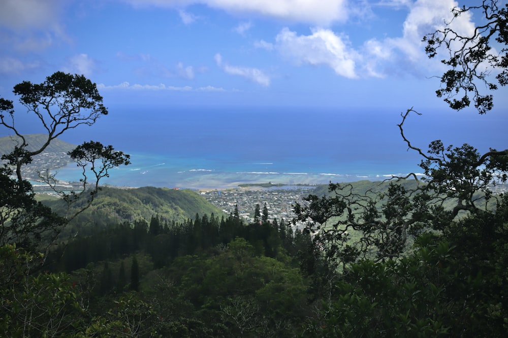 a view of the ocean from the top of a hill