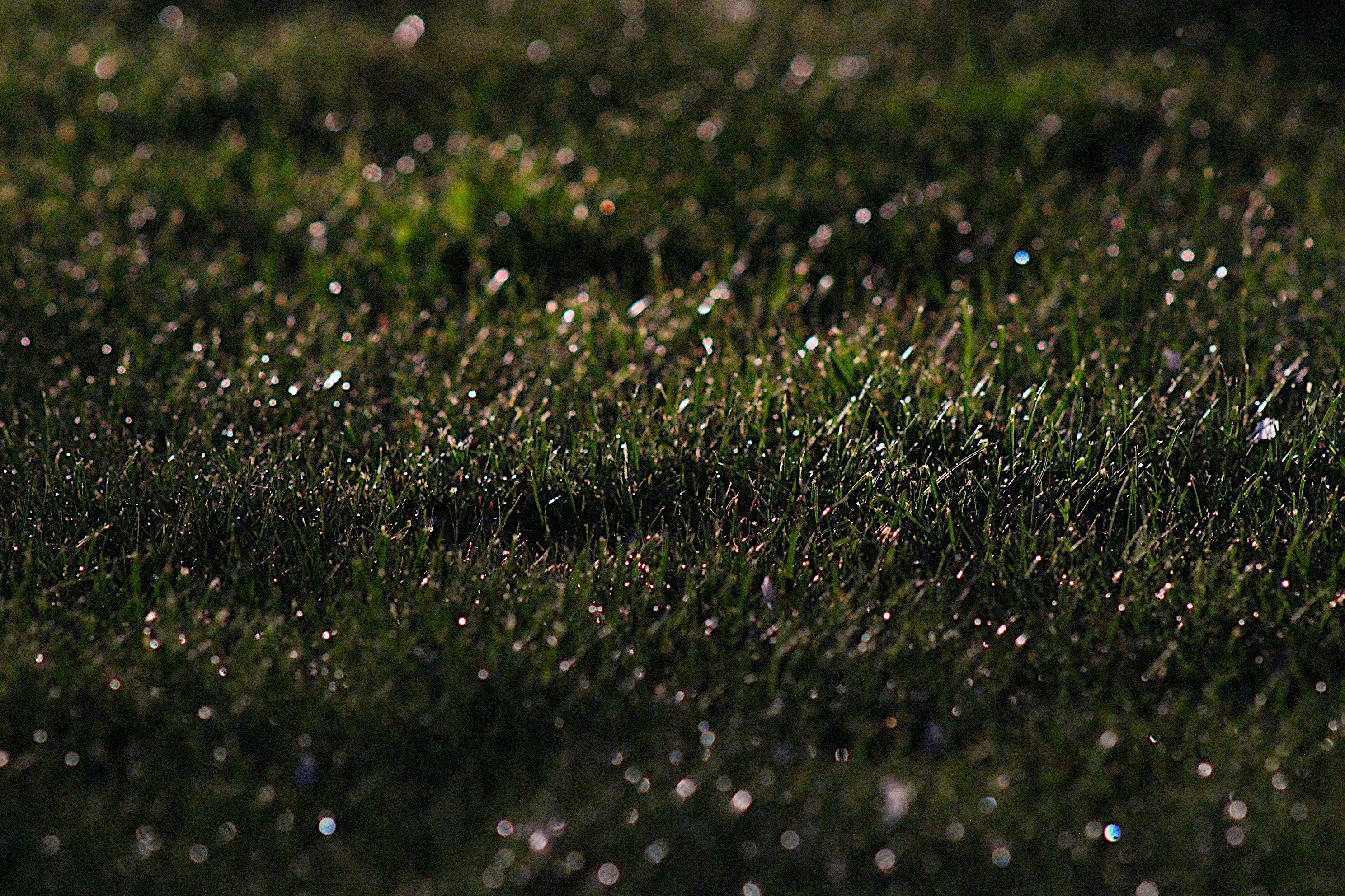 Photo by isaacstevenlind