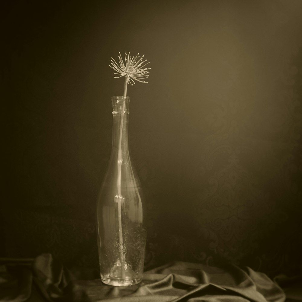 a glass bottle with a dandelion in it