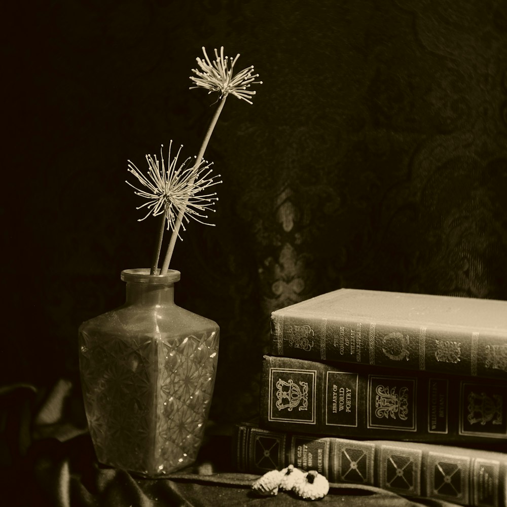 un fiore in un vaso seduto su un tavolo accanto a un libro
