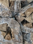 A collection of chopped firewood stacked together, partially covered with a thin, transparent, and worn plastic sheet. The pieces of wood vary in size and texture, displaying rugged edges and a natural brown hue. The plastic sheet is crinkled and covered with a dusty residue, creating an overlay effect on the wood textures.