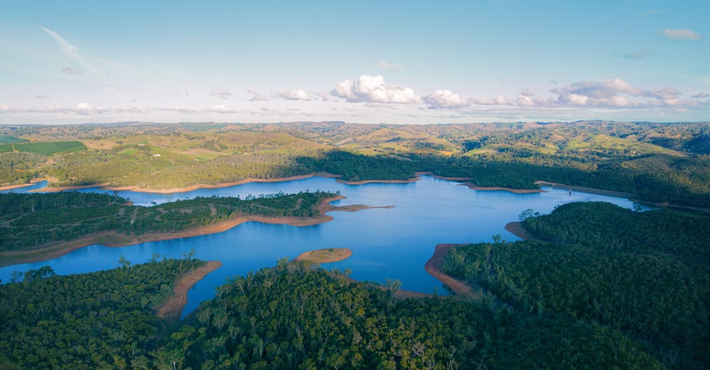 a large body of water surrounded by lush green trees