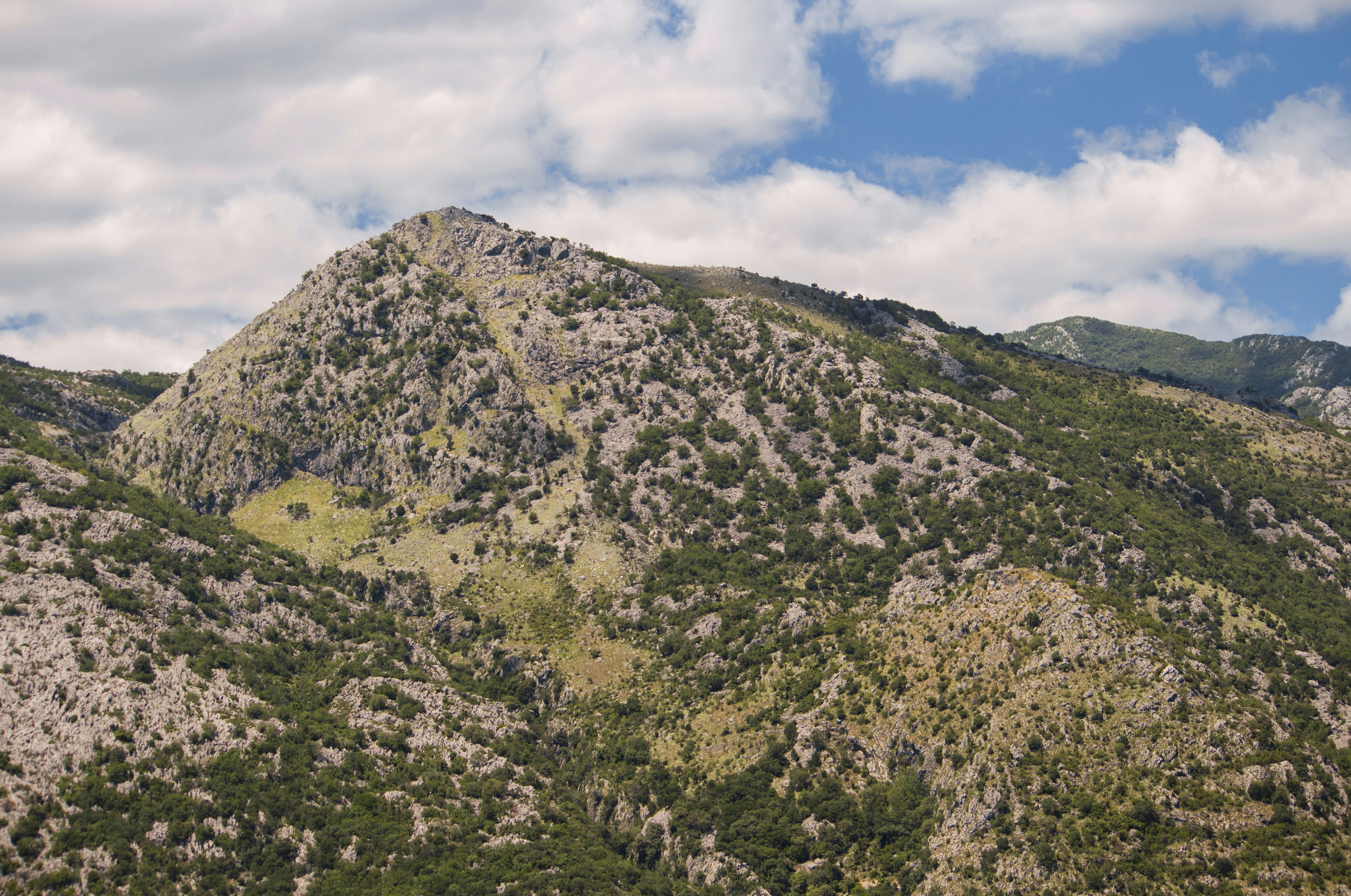 Photo by miloslopusina