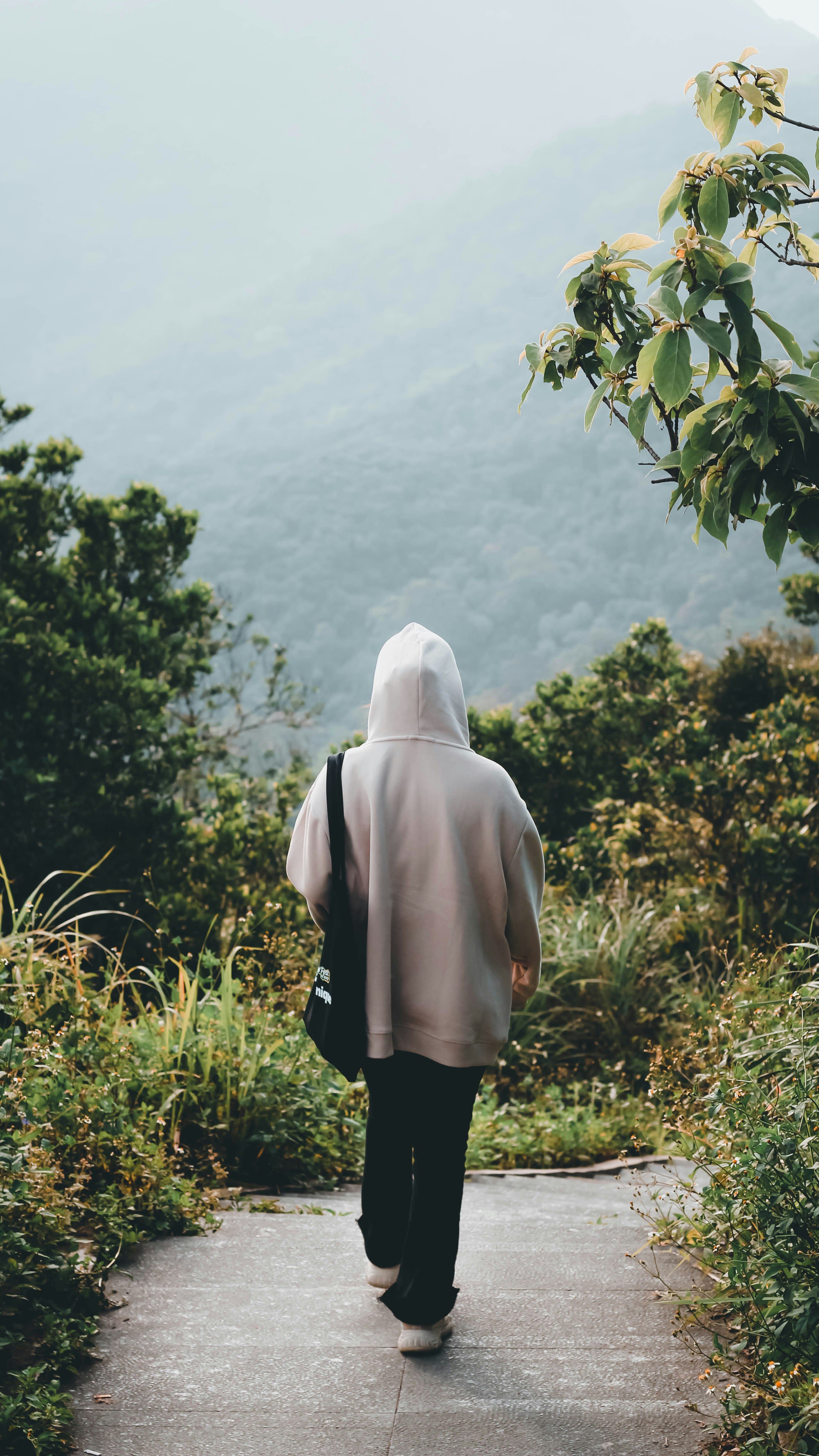 Photo by nguyendhn