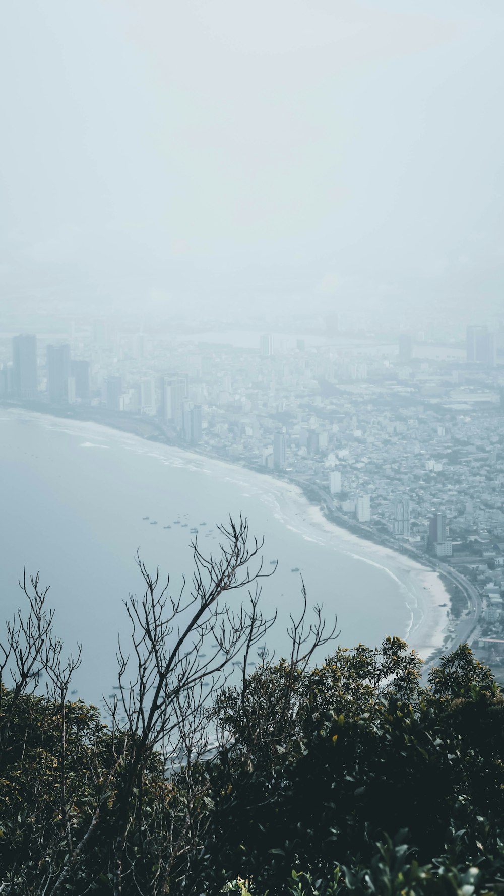 a foggy view of a city and the ocean