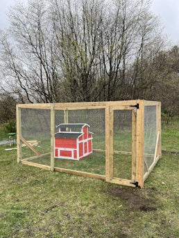 A wooden animal enclosure is set on a grassy area, featuring a vibrant red mini barn-style structure inside. The enclosure is reinforced with mesh wire and sturdy wooden beams, and is surrounded by leafless trees in the background, suggesting early spring or late fall.