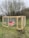 A wooden animal enclosure is set on a grassy area, featuring a vibrant red mini barn-style structure inside. The enclosure is reinforced with mesh wire and sturdy wooden beams, and is surrounded by leafless trees in the background, suggesting early spring or late fall.