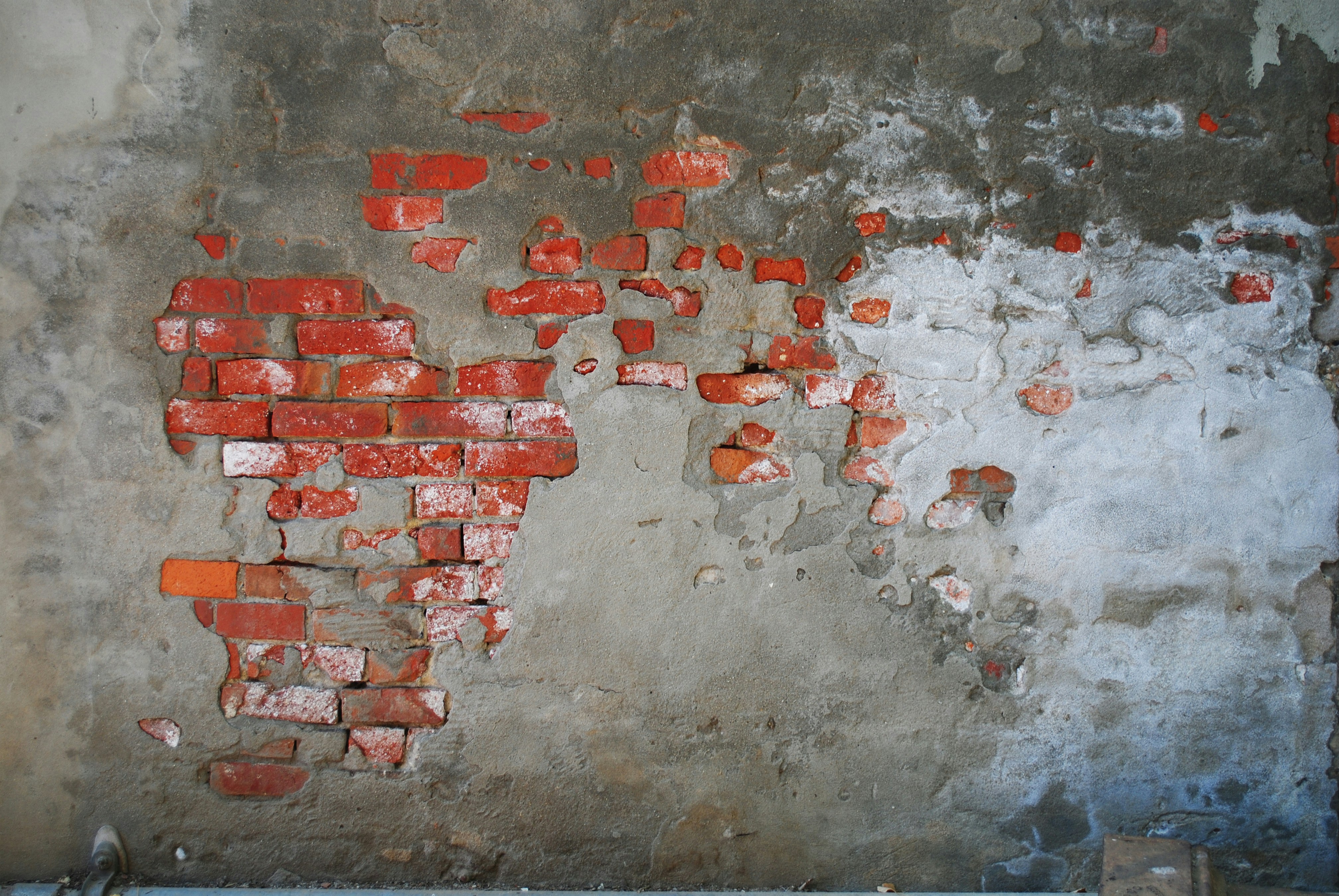 Photo by art_by_rebecca