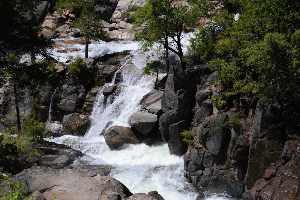 a small waterfall in the middle of a forest