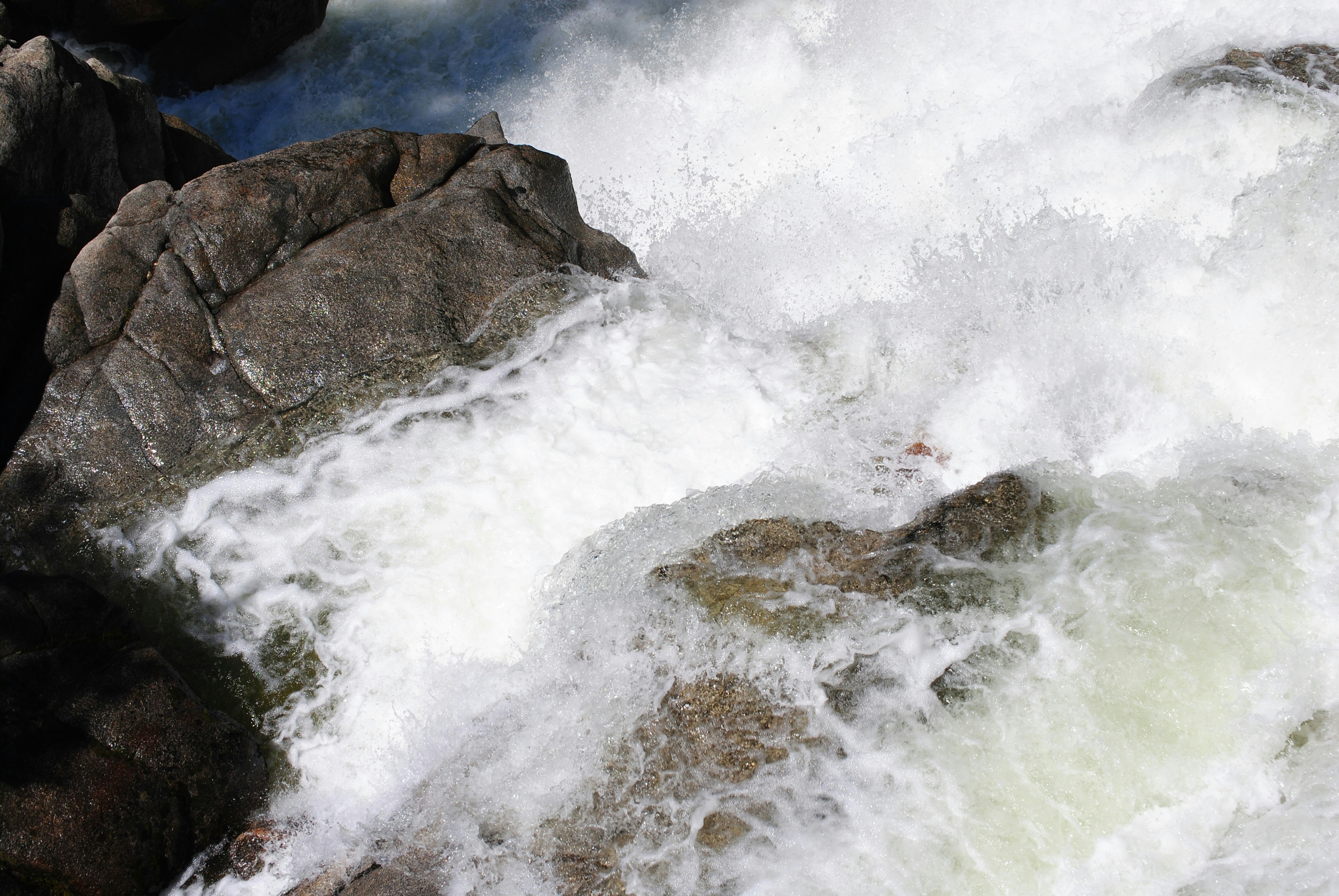 Photo by art_by_rebecca