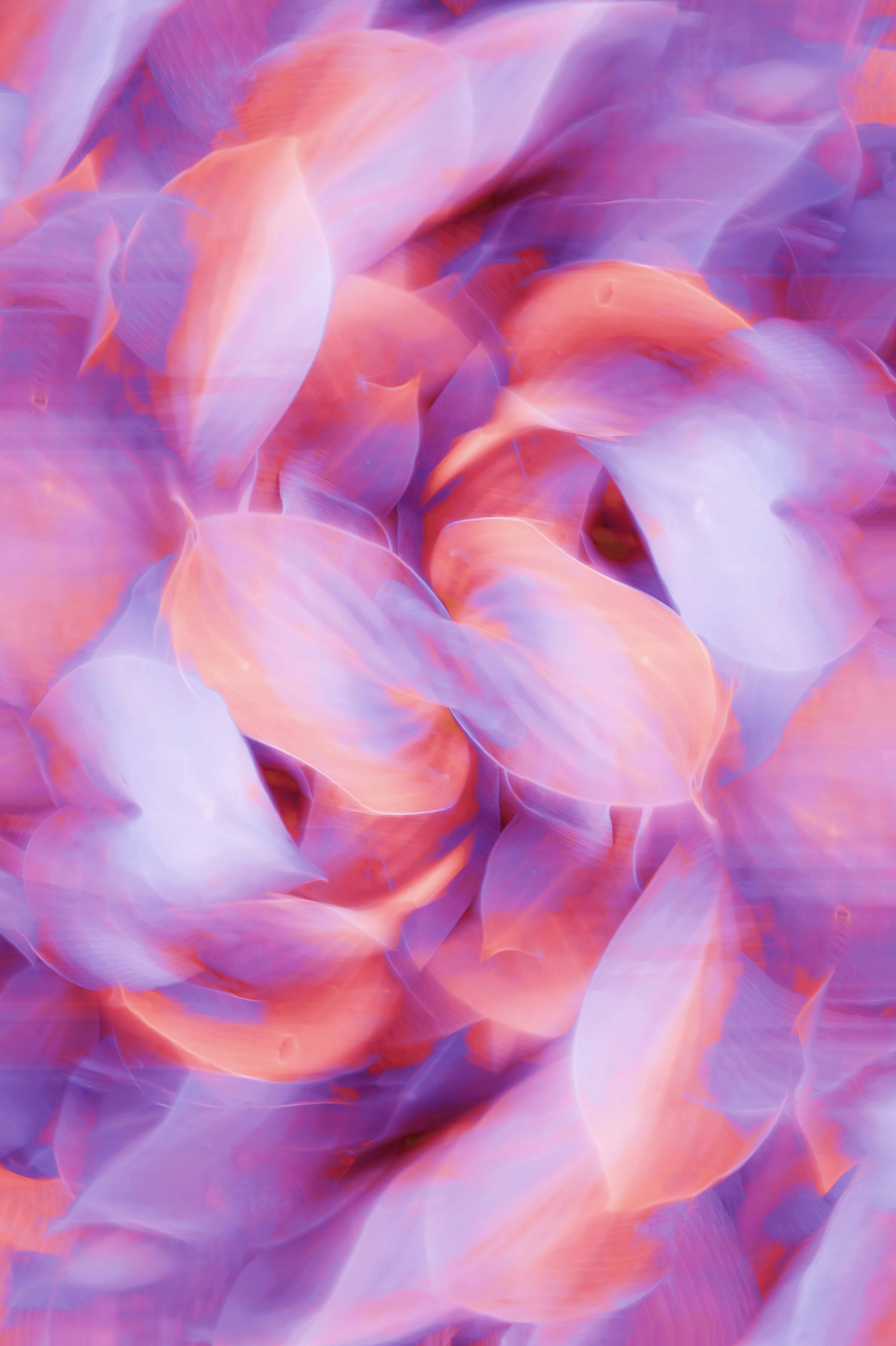 Photo by eugene_golovesov