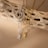 Two necklaces, one silver and one gold, hang elegantly over a textured, dried piece of wood with a series of holes. Each necklace features a rectangular pendant engraved with a letter. The scene is set against a neutral beige background, creating a warm, earthy ambiance.
