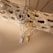 Two necklaces, one silver and one gold, hang elegantly over a textured, dried piece of wood with a series of holes. Each necklace features a rectangular pendant engraved with a letter. The scene is set against a neutral beige background, creating a warm, earthy ambiance.