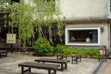 Outdoor seating area with greenery and benches.