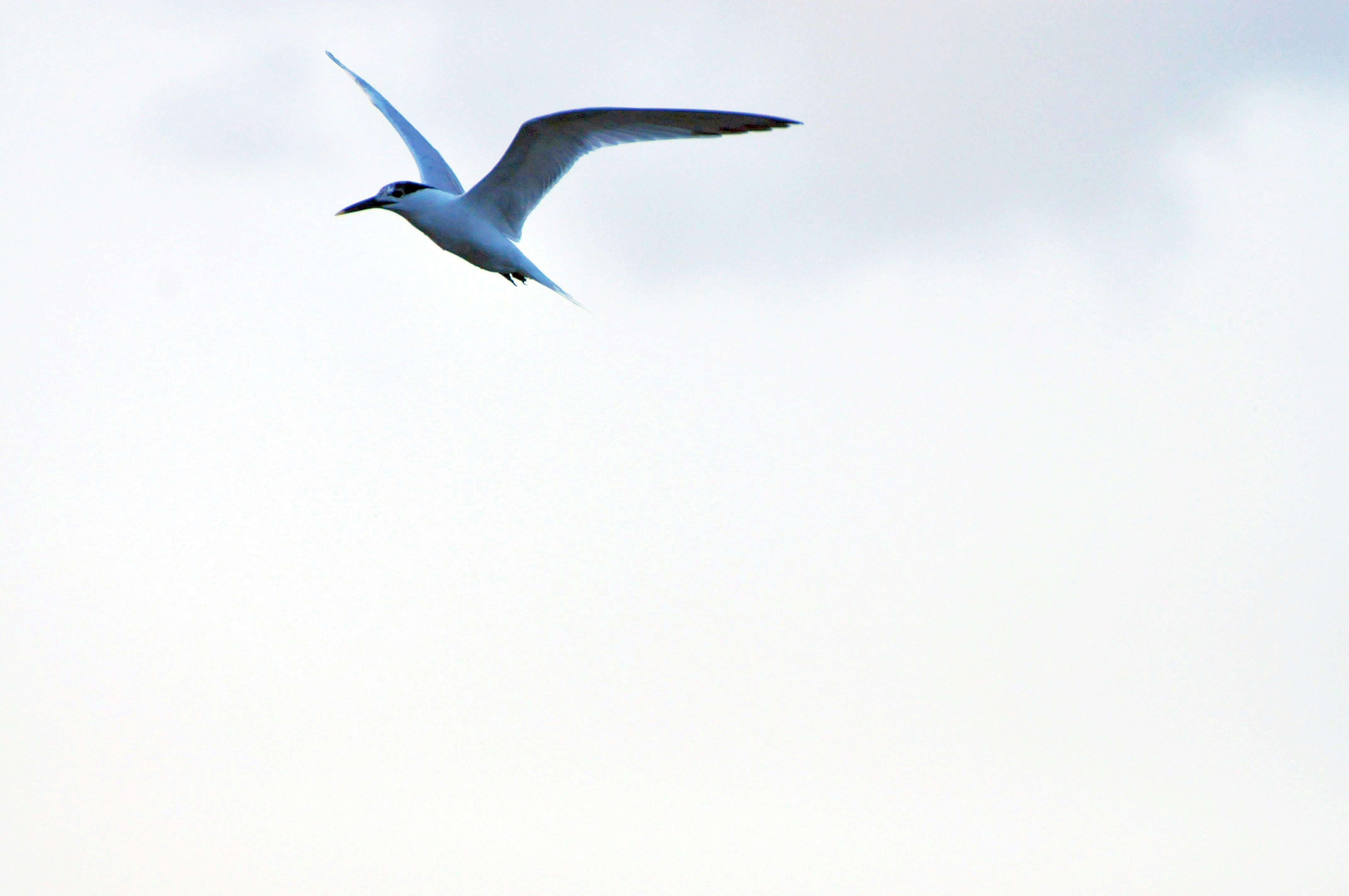 Photo by climatechangevi