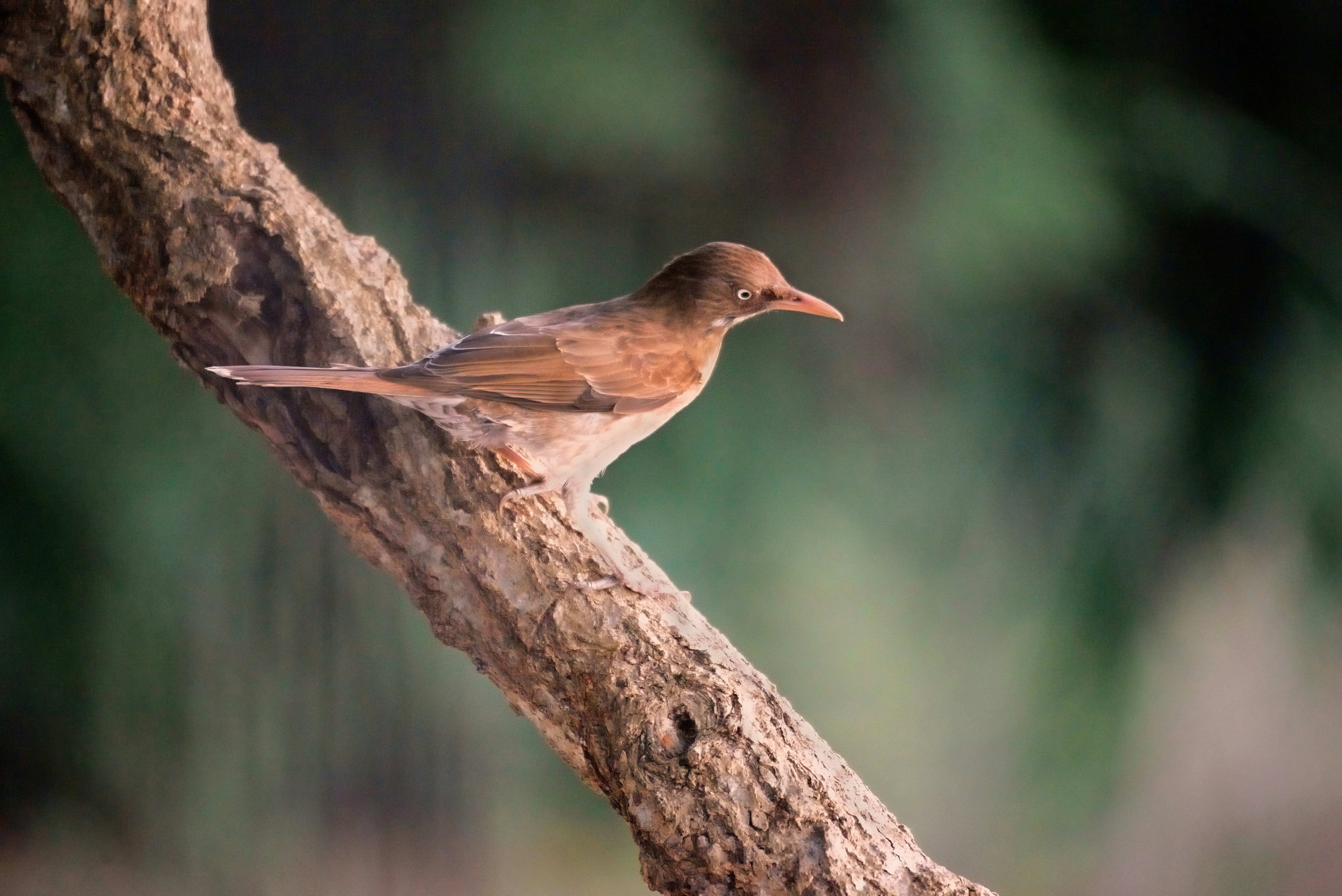 Photo by climatechangevi