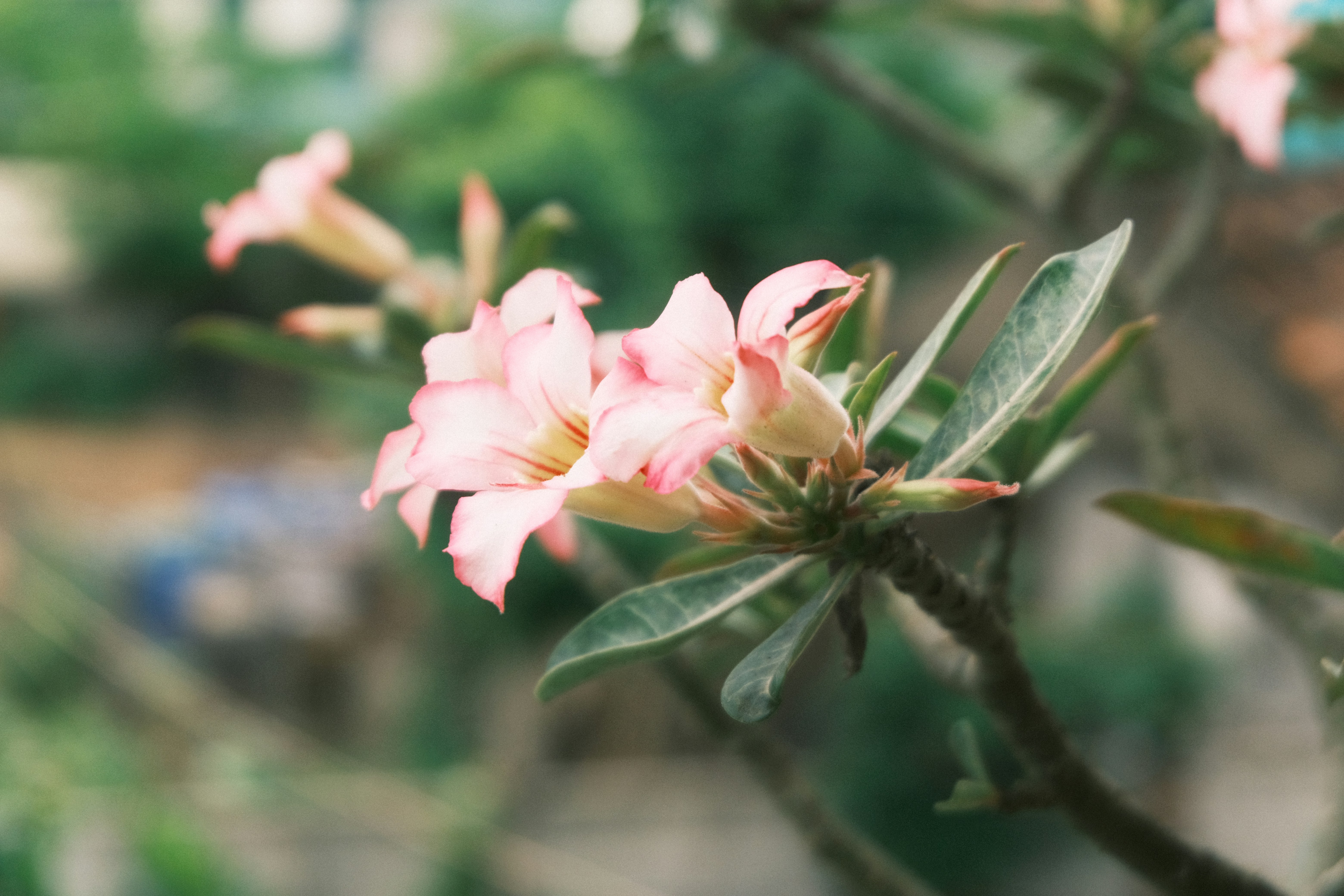 Photo by dvhoang2106