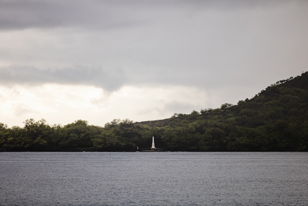 a large body of water surrounded by trees