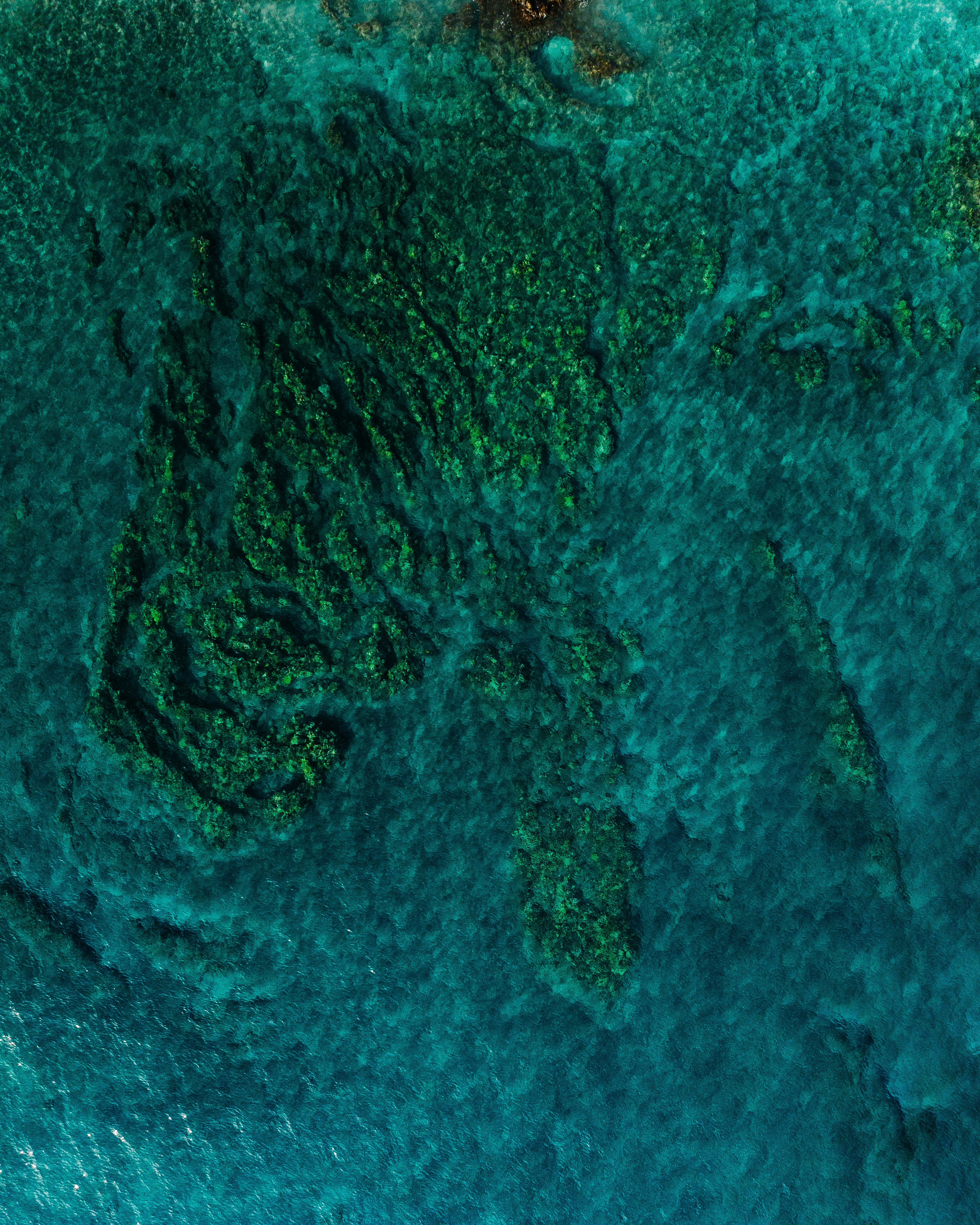 Photo by joshwithers