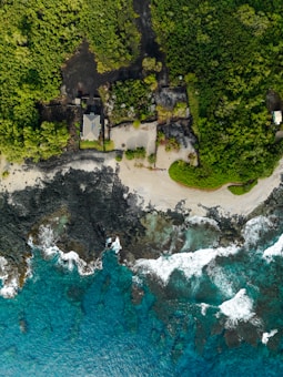 Aerial view of a lush green landscape adjacent to a rocky coastline with clear blue ocean waters. The image features a small house surrounded by dense trees and a sandy beach area.