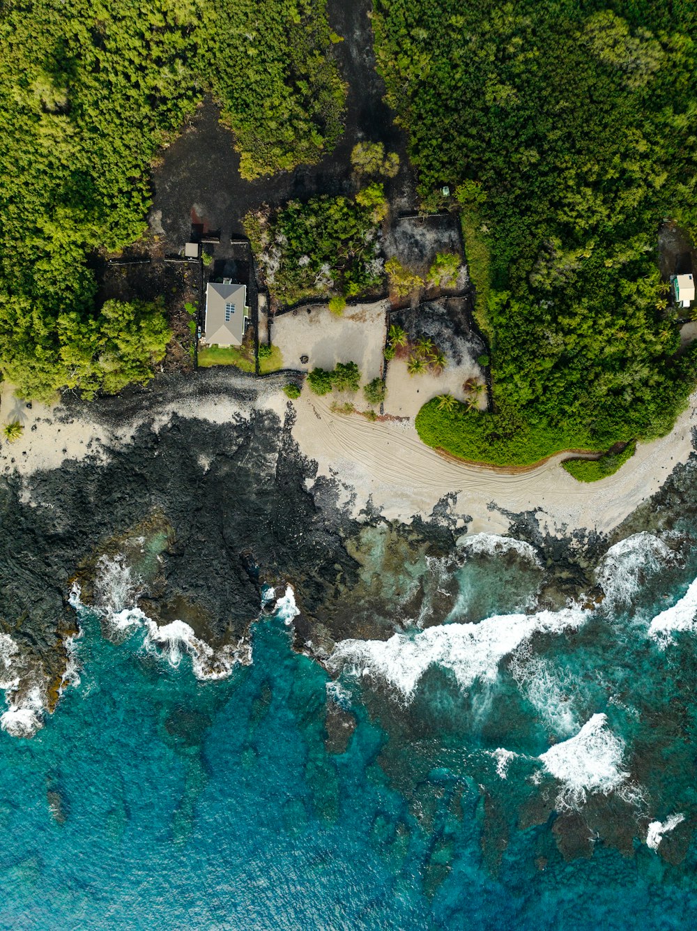 an aerial view of a lush green forest next to the ocean