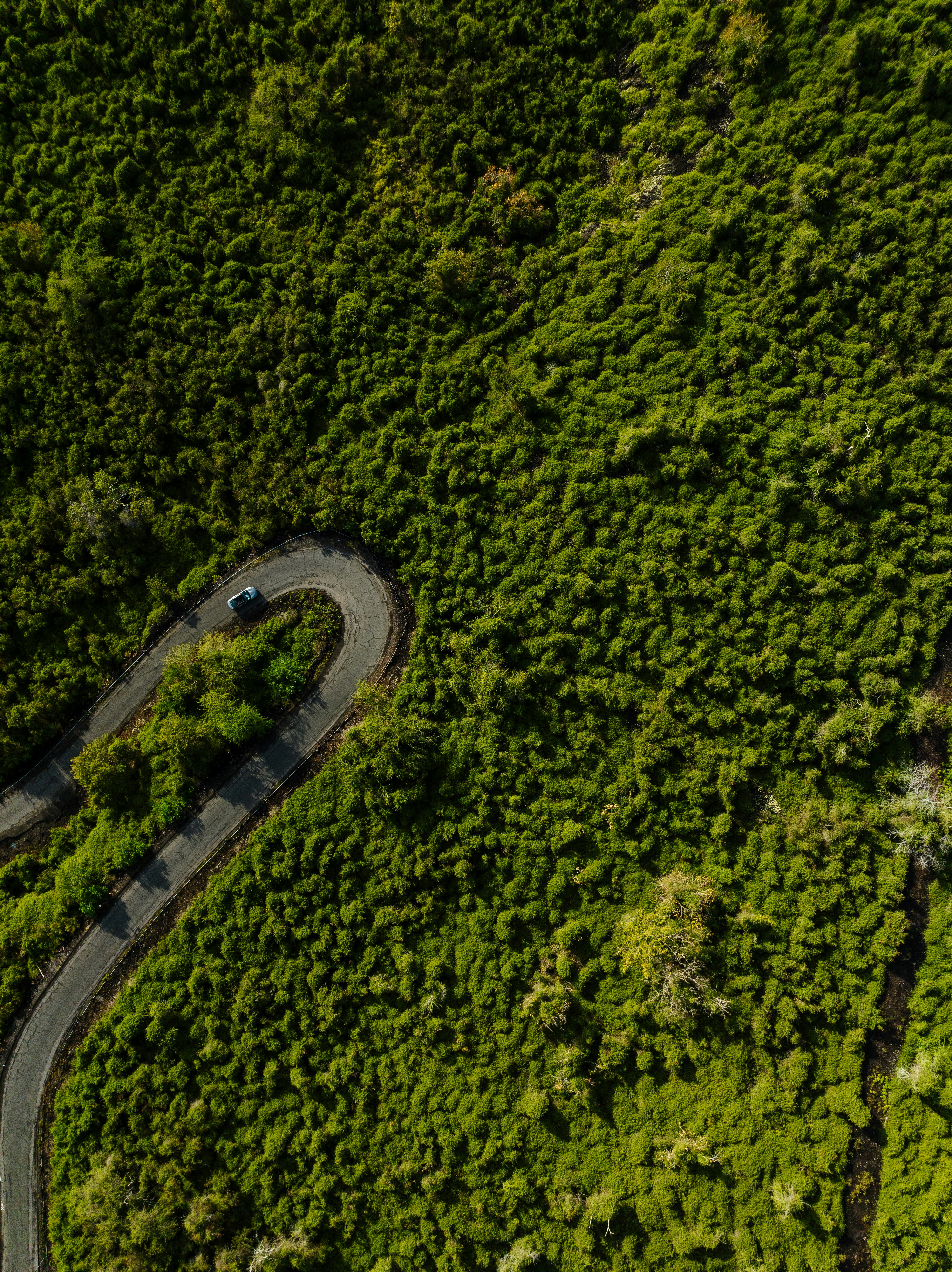 Photo by joshwithers