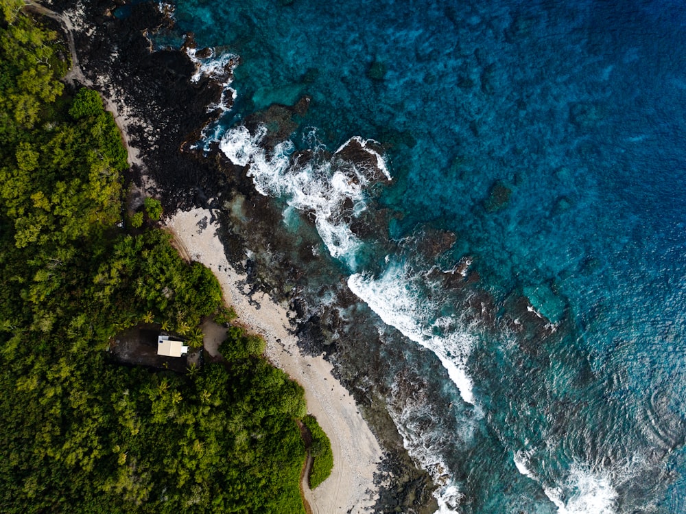 uma vista aérea de uma praia e oceano