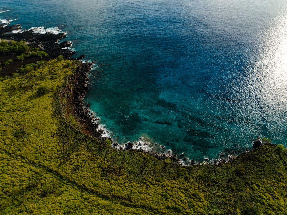 a large body of water surrounded by lush green grass