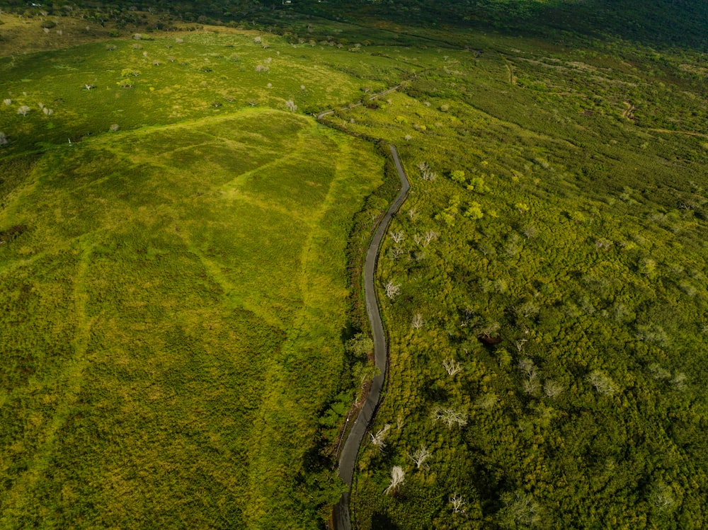 an aerial view of a road winding through a lush green field