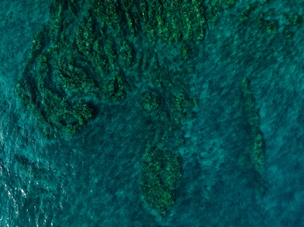 an aerial view of a body of water