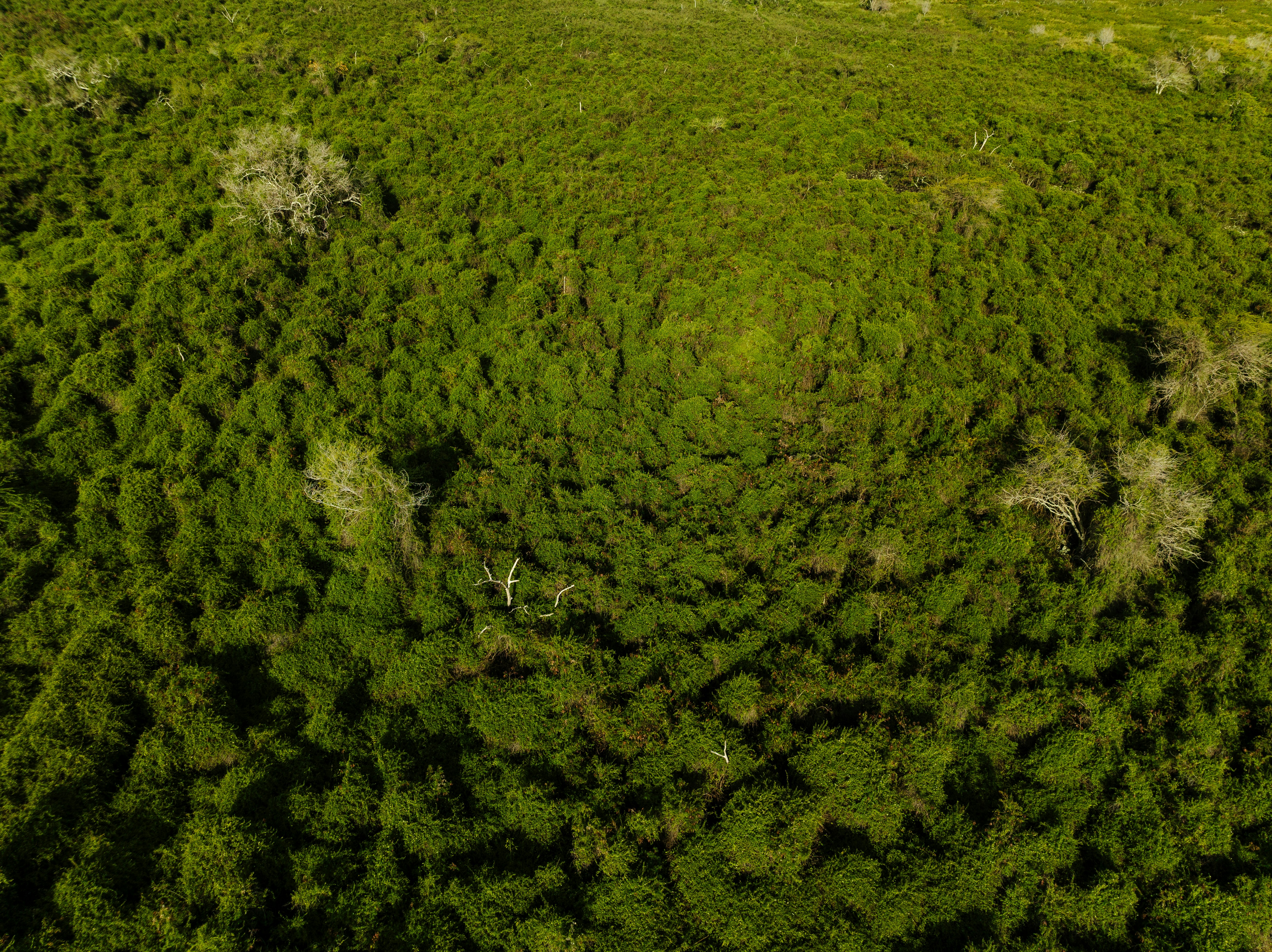 Photo by joshwithers