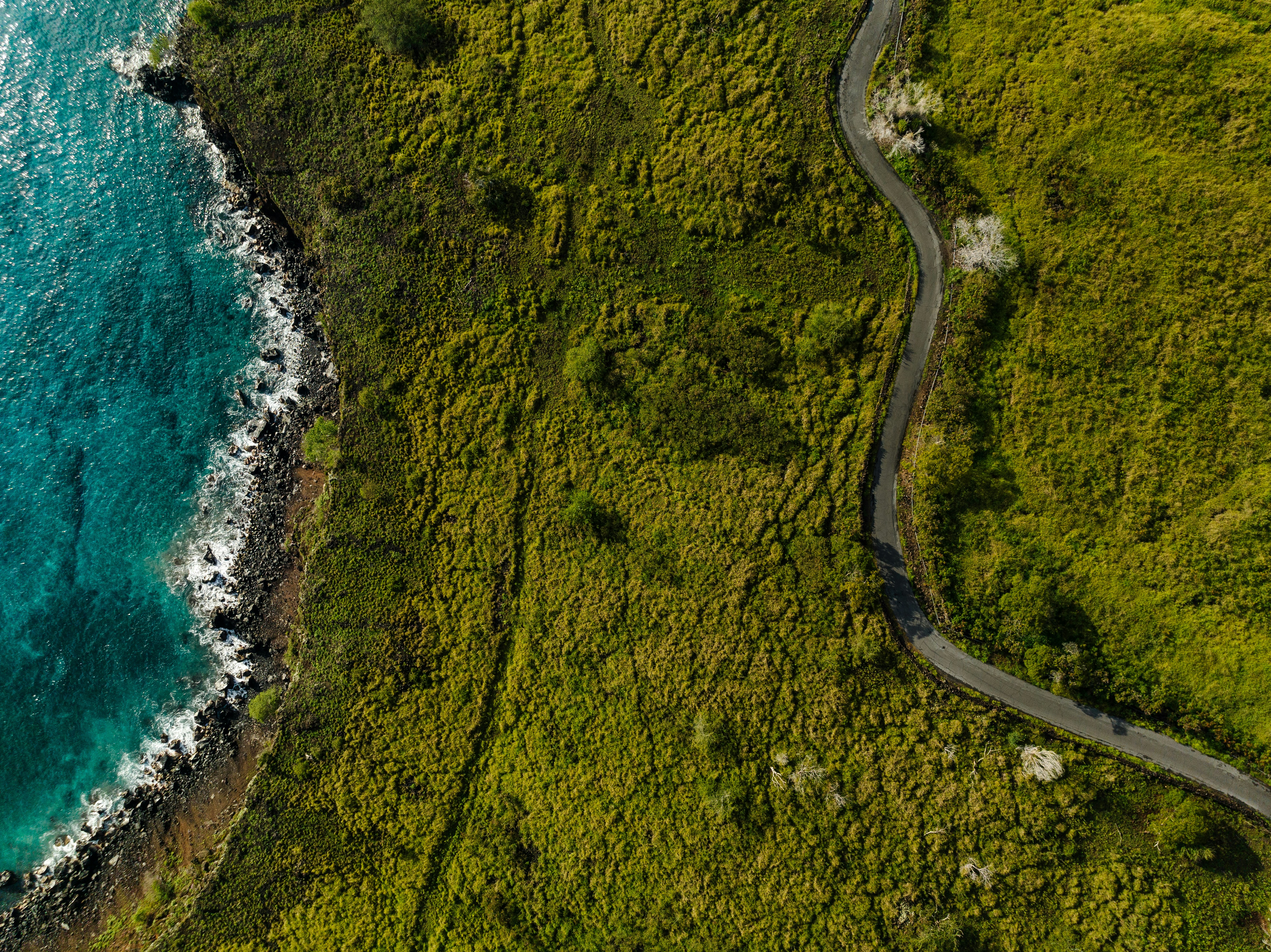 Photo by joshwithers